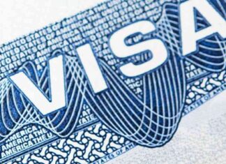 ABD, Yetenekli İşçilere Yönelik Tarifeler Yaratabilir abd-yetenekli-iilere-ynelik-tarifeler-yaratabilir