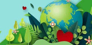 Maliyet ve Karbon Farkındalıklı Ağ Kurulumu | Hesaplama… maliyet-ve-karbon-farkndalkl-a-kurulumu-hesaplama