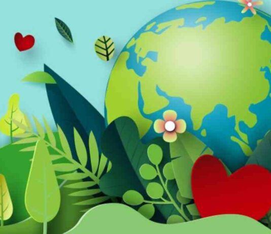 Maliyet ve Karbon Farkındalıklı Ağ Kurulumu | Hesaplama… maliyet-ve-karbon-farkndalkl-a-kurulumu-hesaplama