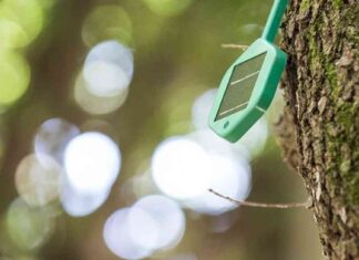 Vodafone, Dell İle Büyük Açık RAN Ağı Modernizasyonuna Gidiyor vodafone-dell-ile-byk-ak-ran-a-modernizasyonuna-gidiyor